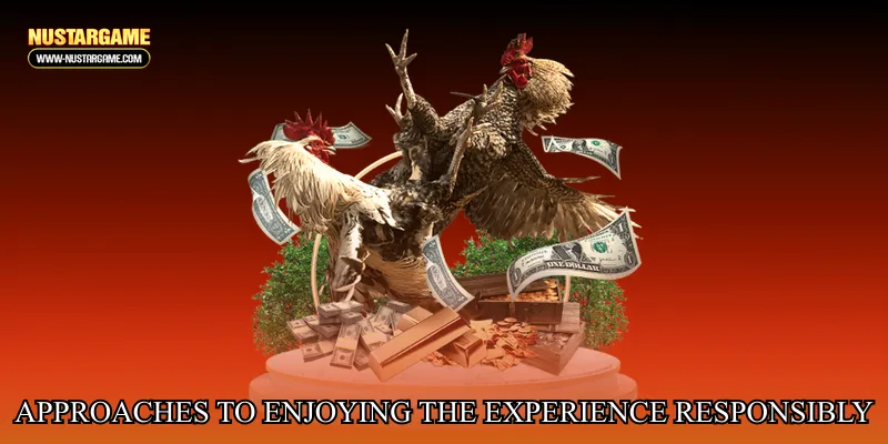 Approaches to Enjoying the Experience Responsibly