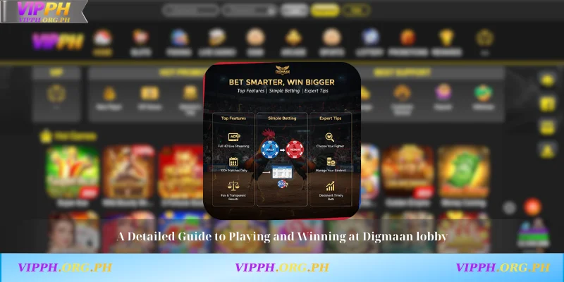A Detailed Guide to Playing and Winning at Digmaan lobby