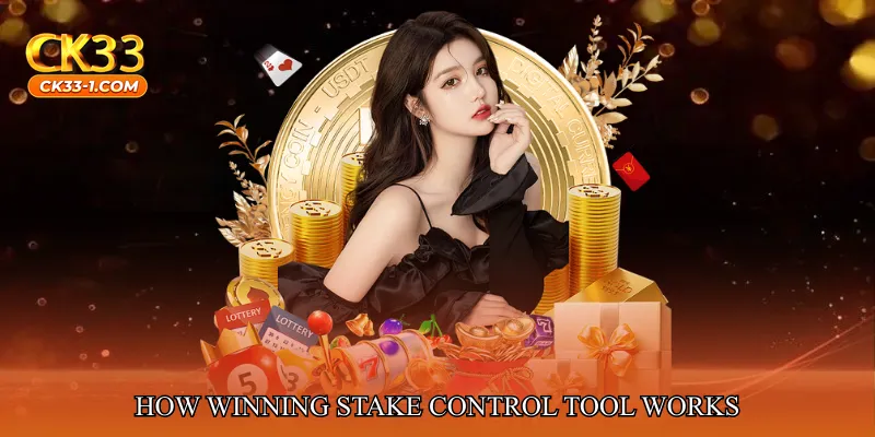How Winning Stake Control Tool Works