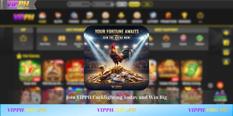 Join VIPPH Cockfighting Today and Win Big