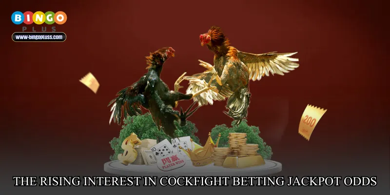 The Rising Interest in Cockfight Betting Jackpot Odds