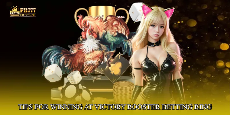 Tips for Winning at Victory Rooster Betting Ring