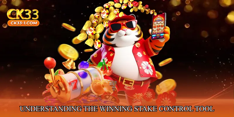 Understanding the Winning Stake Control Tool