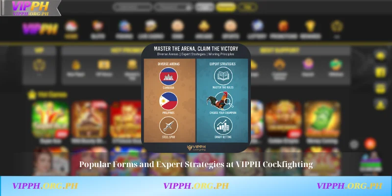 Popular Forms and Expert Strategies at VIPPH Cockfighting