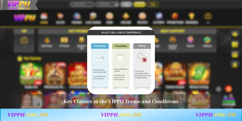 Key Clauses in the VIPPH Terms and Conditions