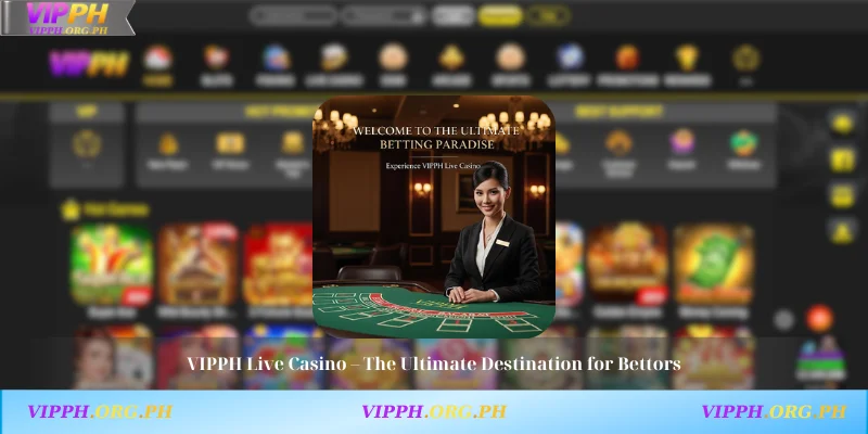 VIPPH Live Casino – The Ultimate Destination for Bettors