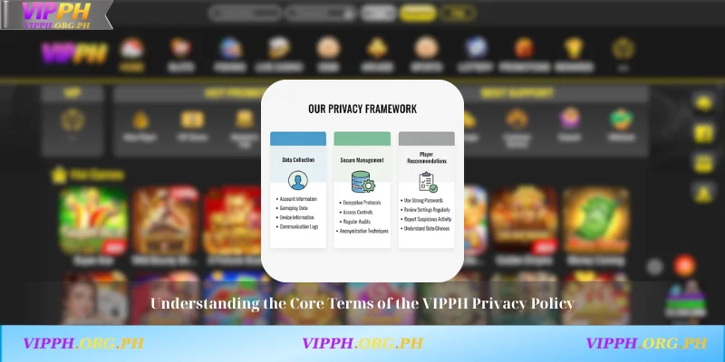 Understanding the Core Terms of the VIPPH Privacy Policy